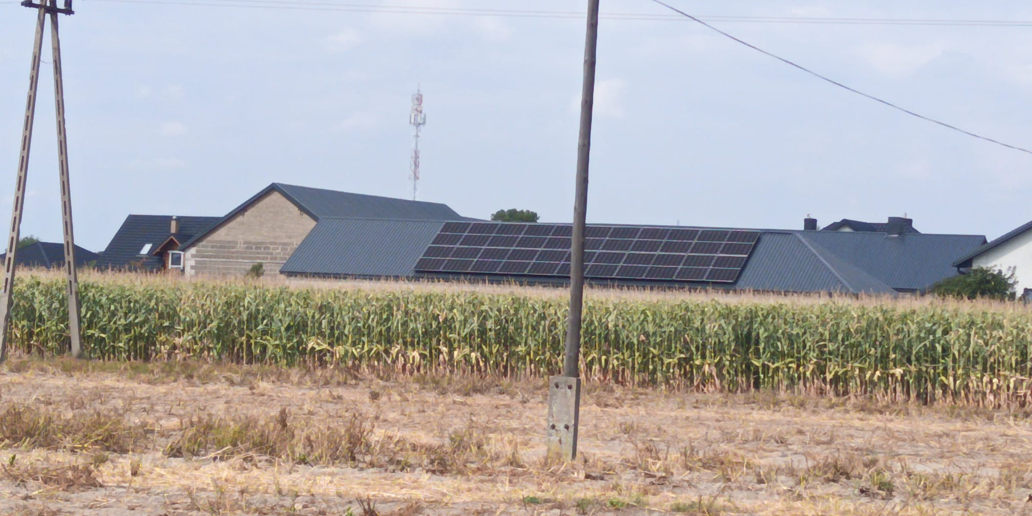 Panel słoneczny na dachu budynku gospodarczego, widok z pola kukurydzy. W tle maszt telekomunikacyjny i inne budynki. Słup energetyczny na pierwszym planie.