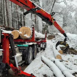 Ciężarówka z czerwonym dźwigiem załadowana drewnem w zimowym lesie, pnie drzew pokryte śniegiem, widoczny mechanizm chwytający kłody.