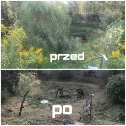 Porównanie terenu z oczkiem wodnym przed i po pielęgnacji: usunięto nadmiar roślinności, wykoszono trawę, widoczne schody z barierką.