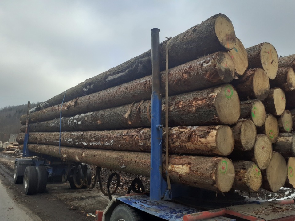 Ciężarówka z przyczepą załadowana kłodami drewna, widoczne ślady śniegu na niektórych kłodach, w tle las i pochmurne niebo.