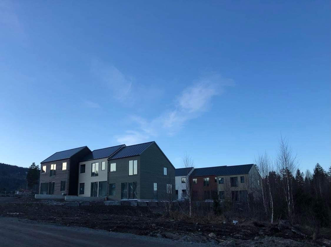 Kompleks kilku nowoczesnych domów w zabudowie szeregowej z drewnianą elewacją w różnych kolorach, na tle błękitnego nieba i lasu.