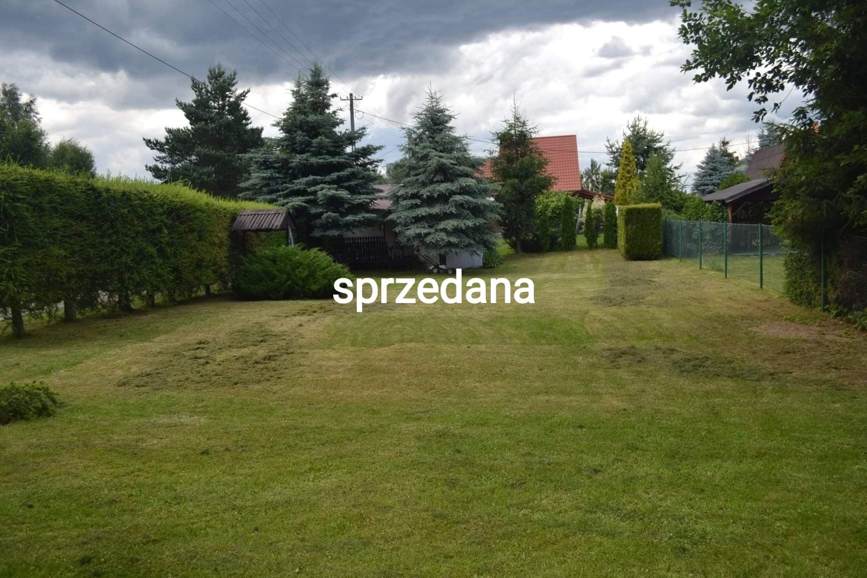 Rozległy trawnik z resztkami skoszonej trawy, otoczony żywopłotem i drzewami iglastymi, w tle zabudowania z czerwonym dachem, pochmurne niebo.