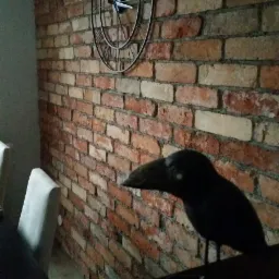 Dekoracyjna ściana z czerwonej cegły z metalowym zegarem w stylu industrialnym i figurką kruka na ciemnej komodzie.