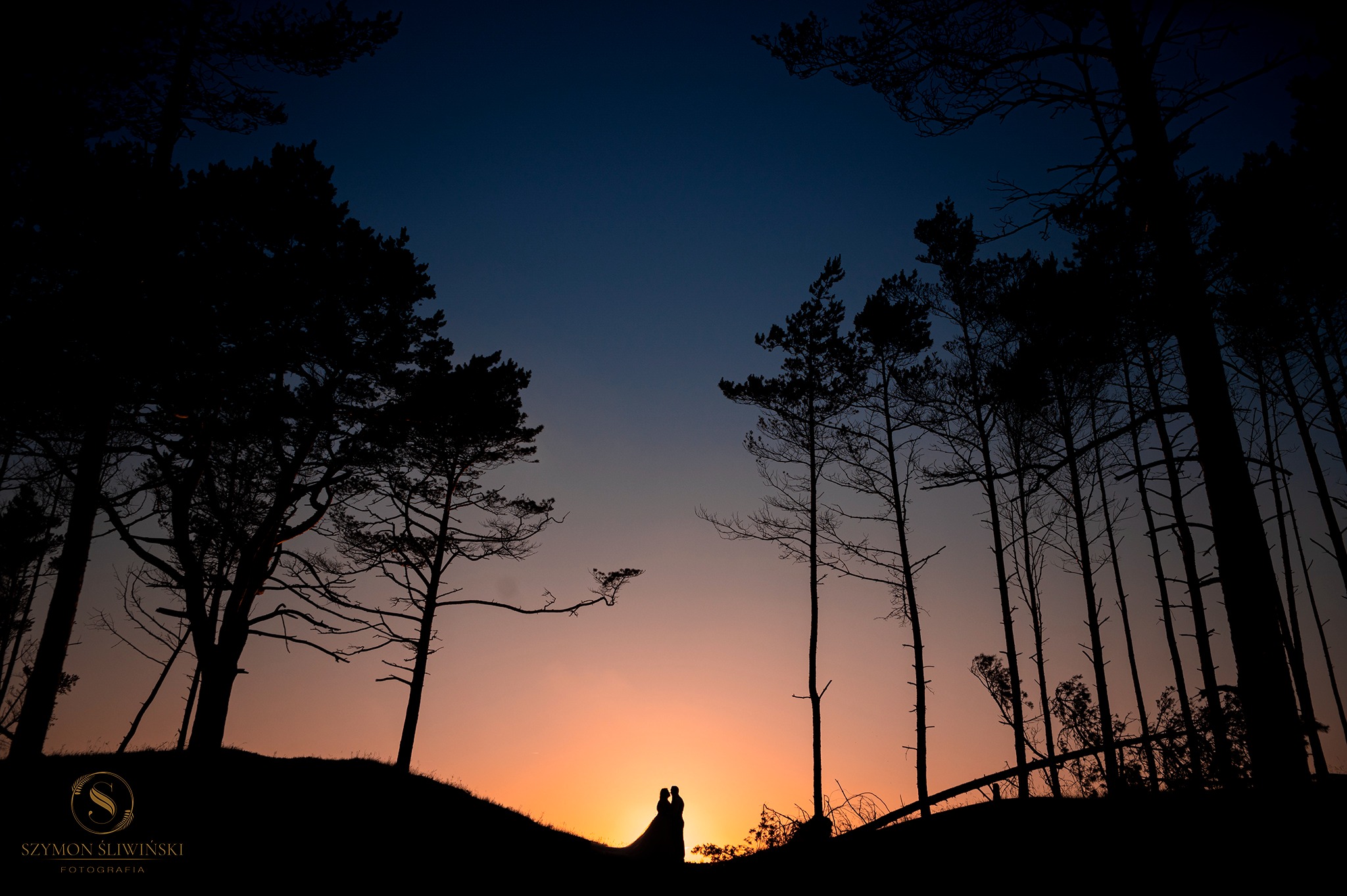 Sylwetki pary młodej na tle zachodzącego słońca, otoczone drzewami bez liści, tworzące romantyczny i tajemniczy krajobraz.