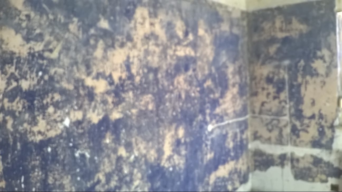 Zniszczone ściany w rogu pomieszczenia, z pozostałościami niebieskiej farby i widocznymi warstwami podkładu, prawdopodobnie przed rozpoczęciem prac remontowych.