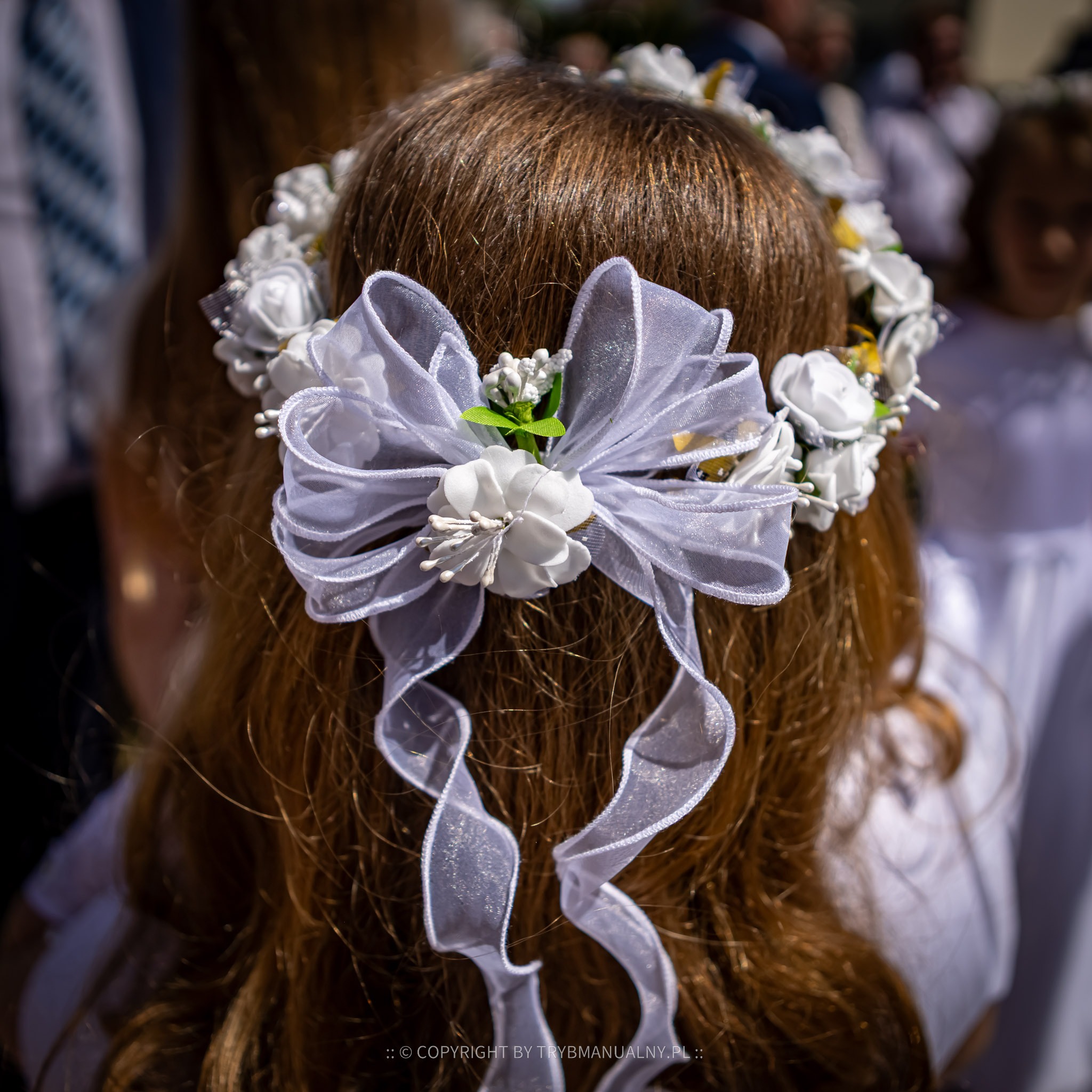 Dziewczynka z brązowymi włosami, widziana od tyłu, ma na głowie wianek z białych kwiatów i kokardą z prześwitującej białej wstążki.