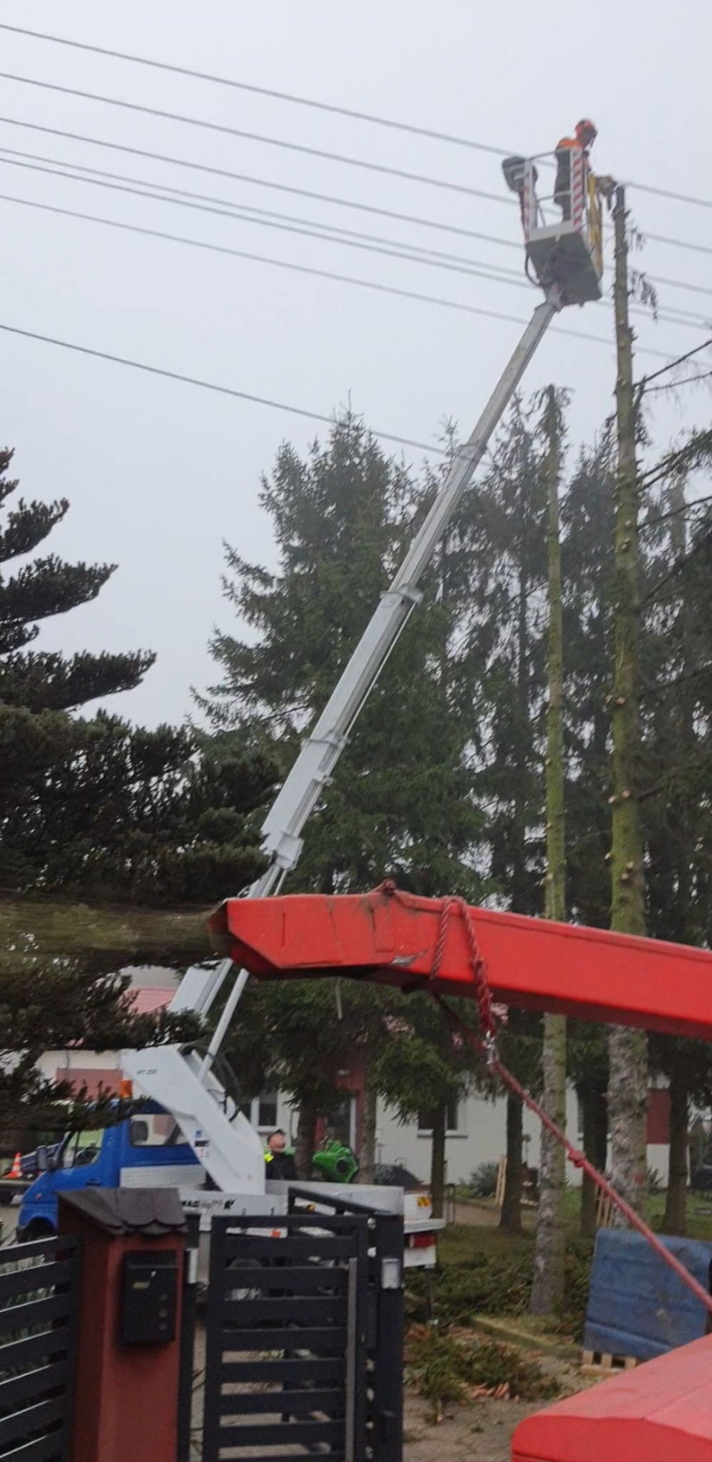 Pracownik w pomarańczowym kombinezonie w podnośniku koszowym przycina gałęzie wysokiego drzewa, widoczne linie energetyczne i fragmenty ściętych gałęzi na ziemi.