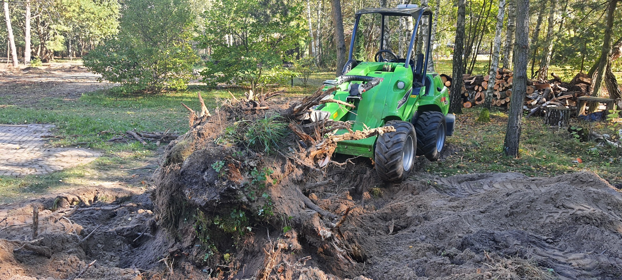 Zielona miniładowarka Avant podnosi karpę drzewa z ziemi na terenie zalesionym, widoczne ślady opon w ziemi, w tle stos drewna.