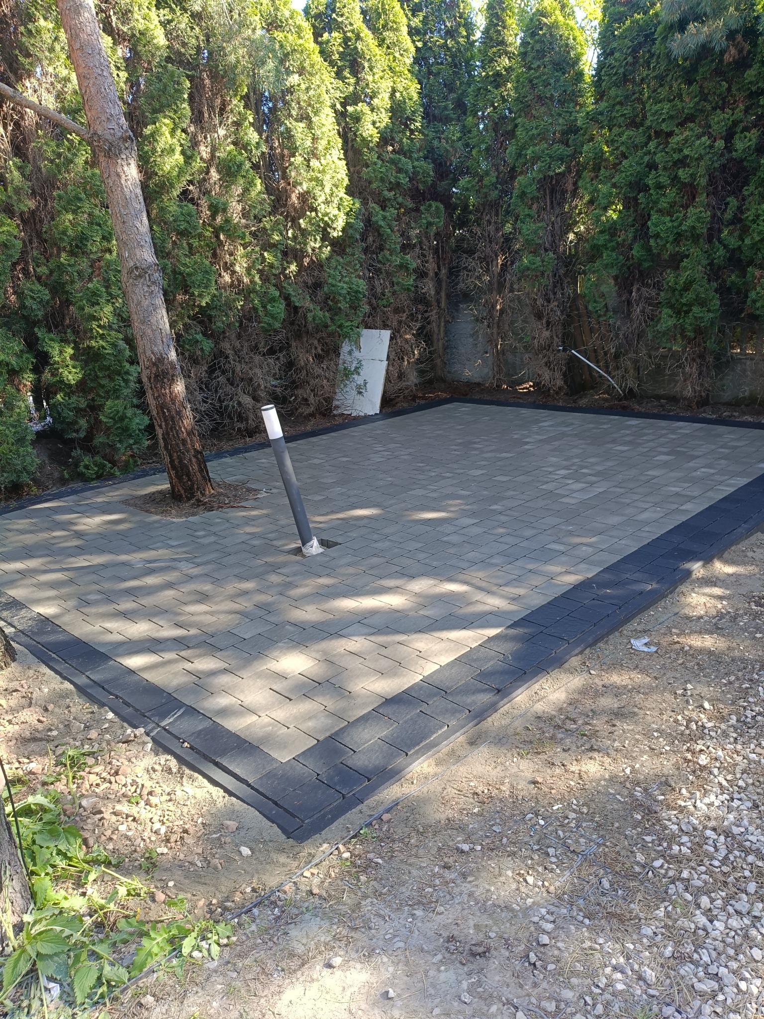 Ułożona kostka brukowa w ogrodzie z drzewem rosnącym w jej obrębie i wystającą lampą. Ciemna obwódka. Tuje w tle.