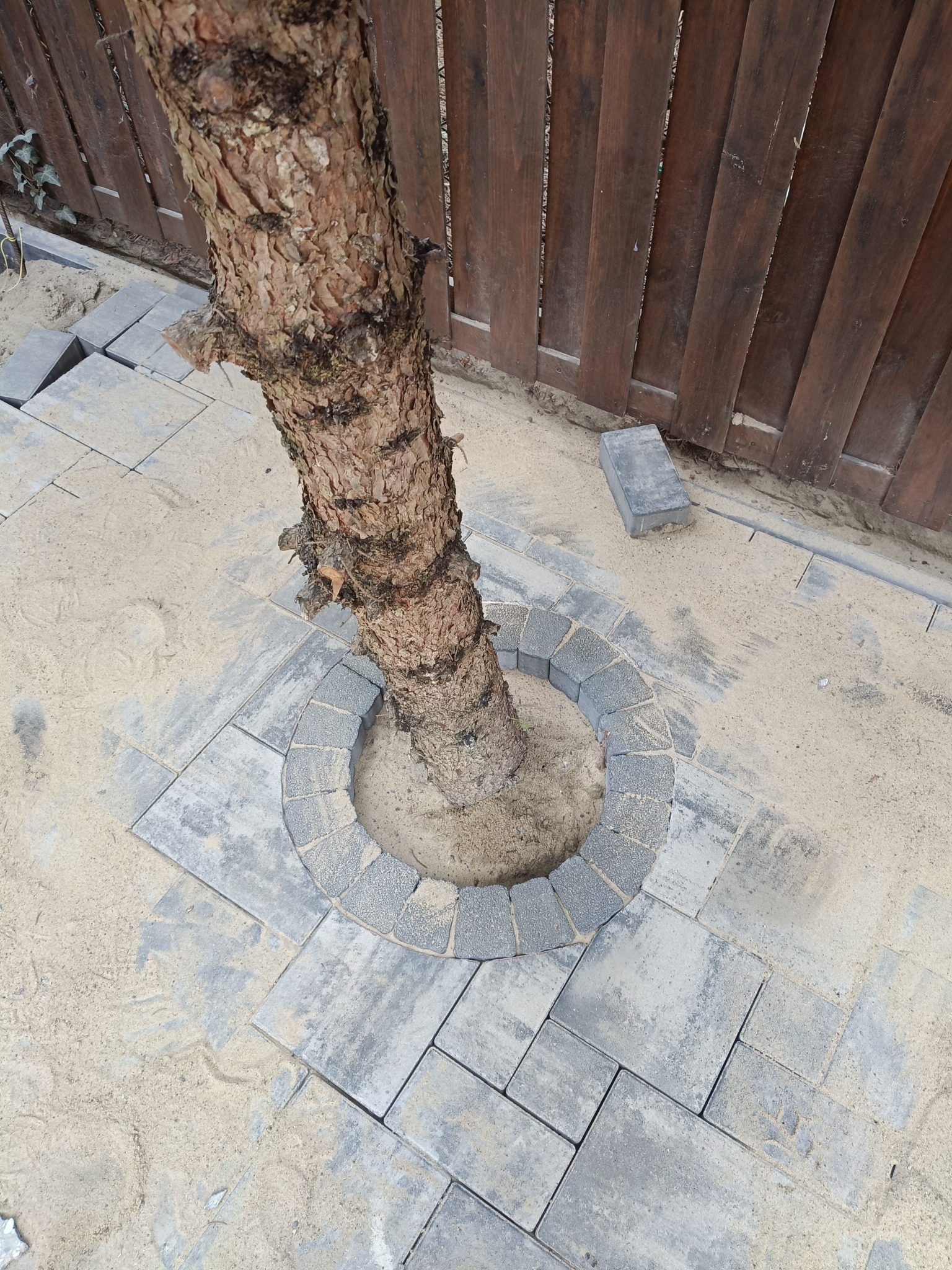 Szara kostka brukowa ułożona wokół drzewa, tworząca okrągły wzór. W tle drewniany płot i piasek.