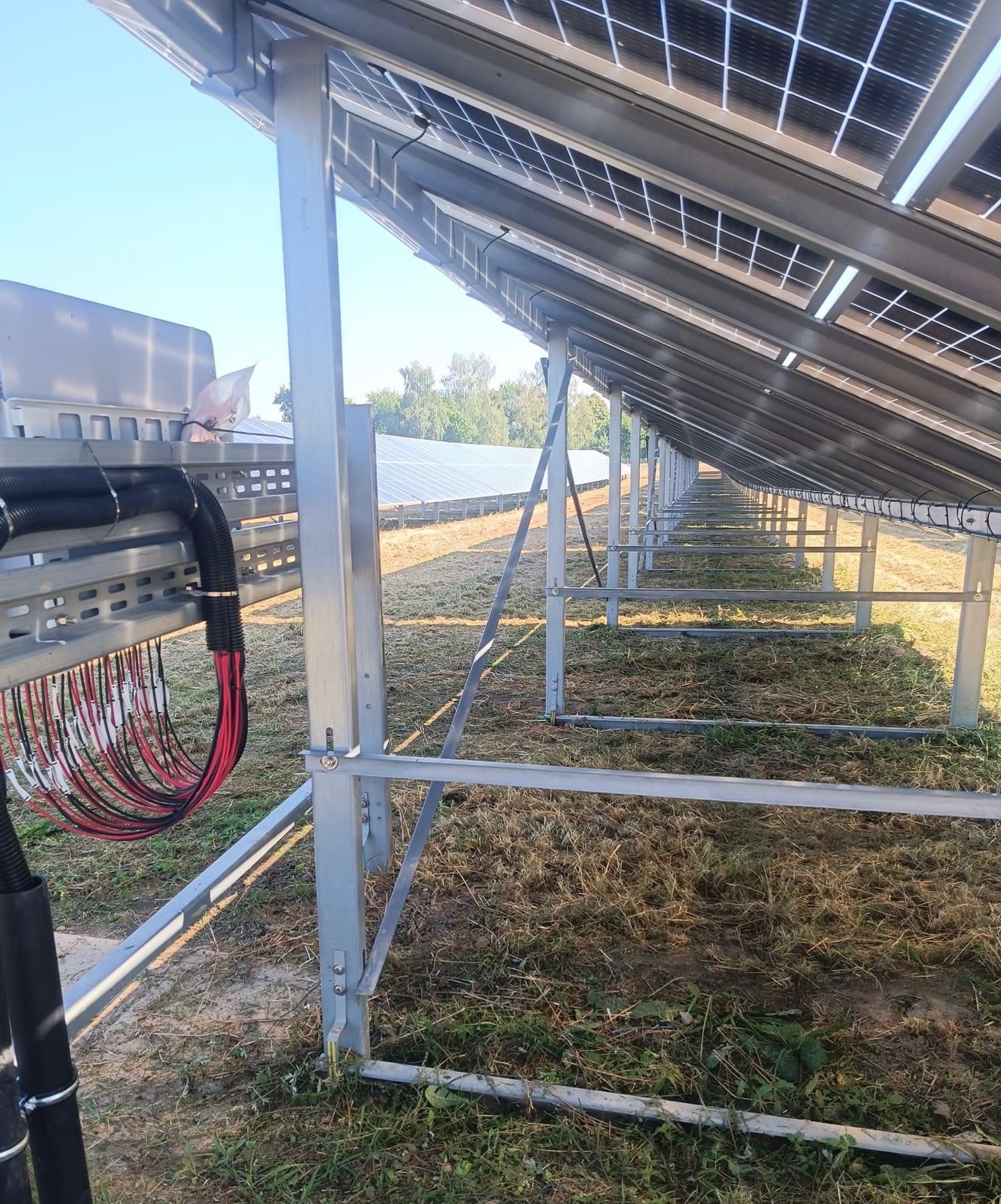 Rząd paneli słonecznych zamontowanych na metalowej konstrukcji, widok z dołu, z widocznymi przewodami i elementami montażowymi, trawa pod panelami.