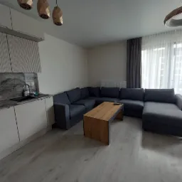 Wnętrze nowoczesnego salonu z szarą narożną sofą, drewnianym stolikiem kawowym z metalowymi nogami, jasnymi panelami podłogowymi i minimalistyczną kuchnią w tle, oświetlonego przez designerskie...