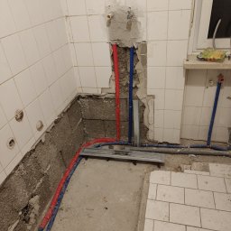 Glazurnik Wolnzach 3