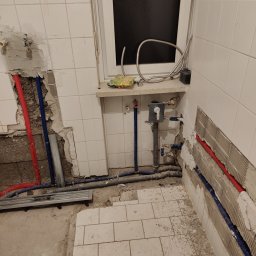 Glazurnik Wolnzach 4