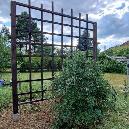 Usługi ogrodowe Zielony Majster Paweł Romaniszyn - Drewniana, ciemnobrązowa pergola ogrodowa z kratownicą, częściowo zasłonięta przez rozrośnięty krzew na trawniku, pod pochmurnym niebem.