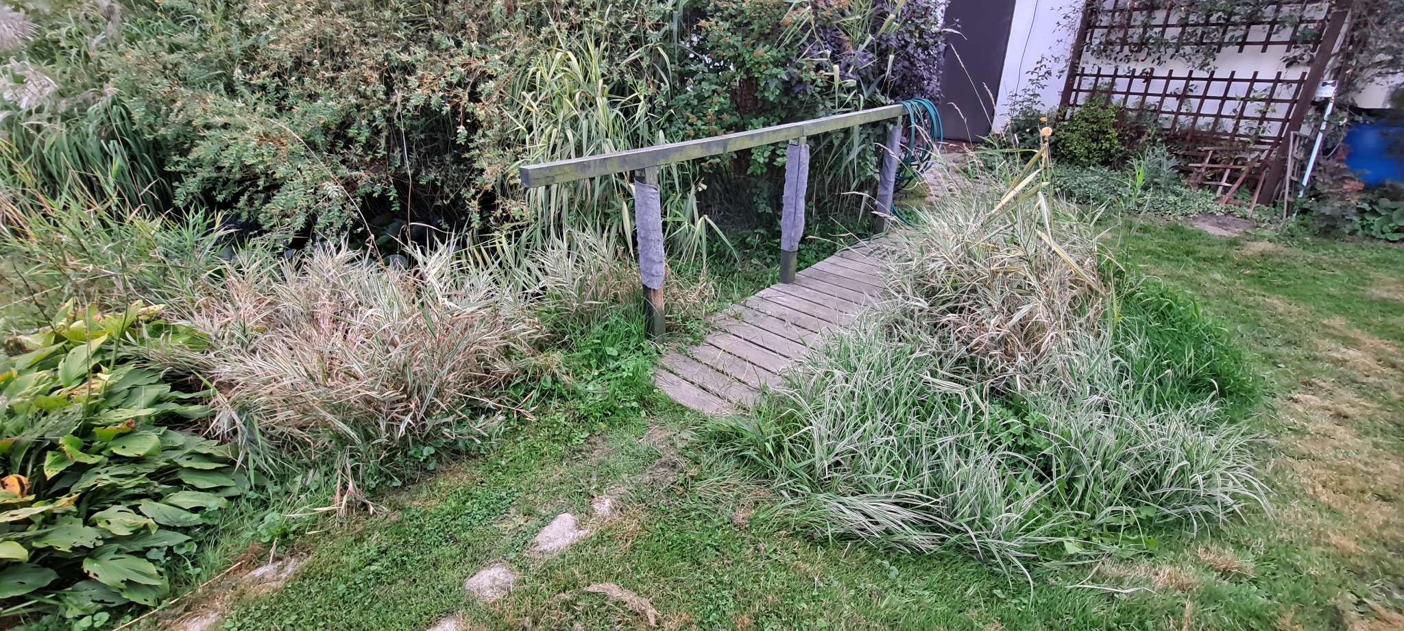 Drewniany mostek nad strumieniem w zarośniętym ogrodzie w Obornikach Śląskich, otoczony bujną roślinnością i trawami ozdobnymi.