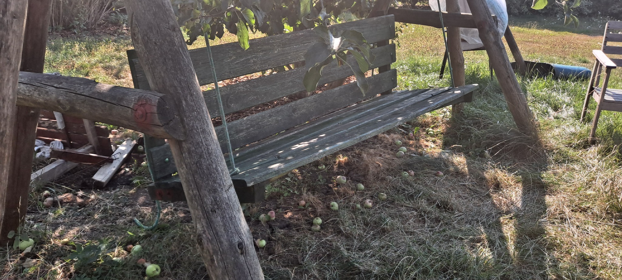 Drewniana huśtawka ogrodowa z opadłymi jabłkami pod spodem, widok na zarośnięty ogród w tle.