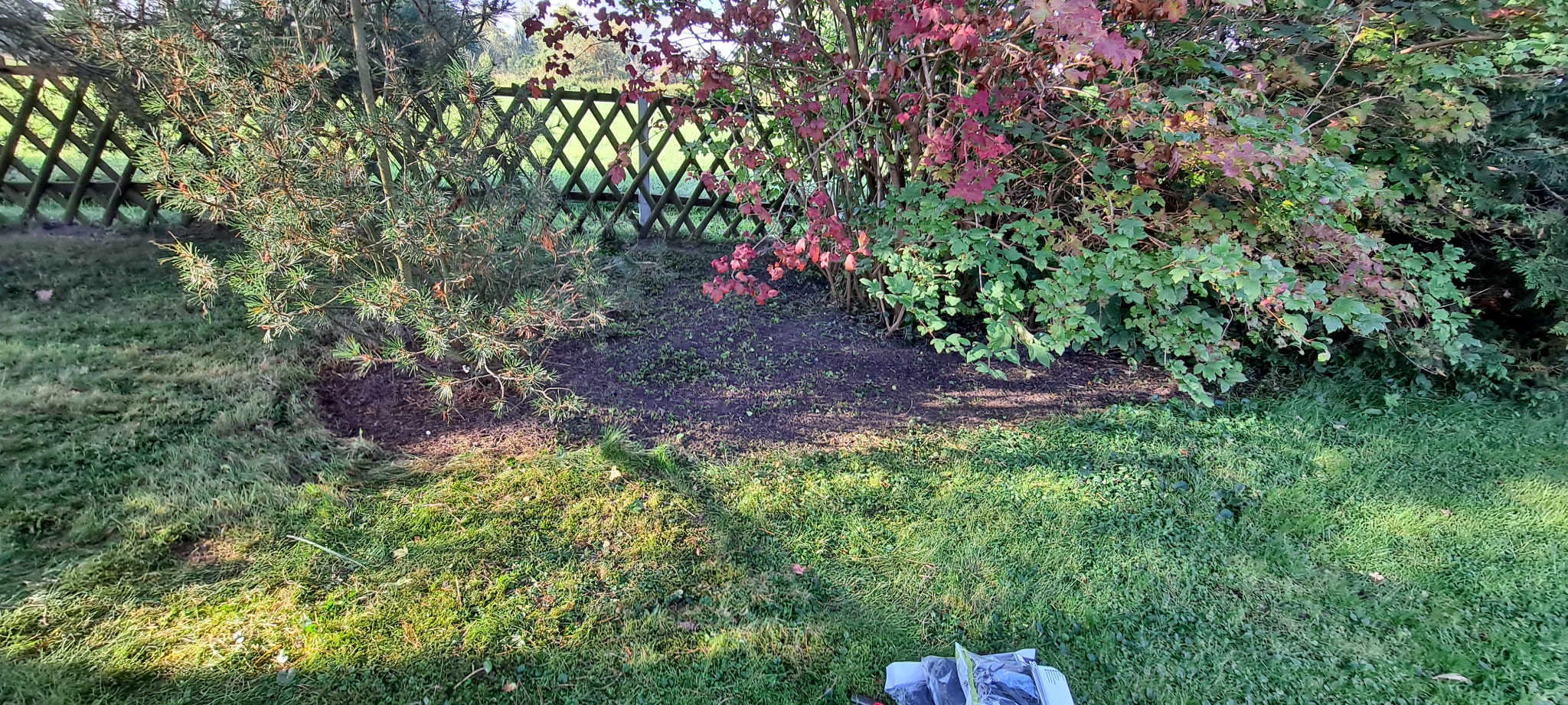 Przygotowany fragment ziemi pod zasiew, otoczony zielenią i drewnianym płotkiem, z widoczną trawą i narzędziami ogrodniczymi w dolnej części kadru.