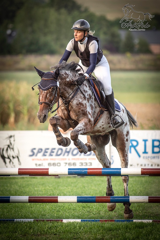 Relacjonowanie imprez jeździeckich (BOSMA Jumping-Szreniawa)