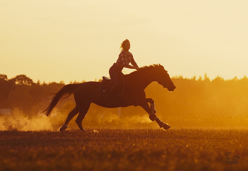 Plenerowe sesje jeździeckie