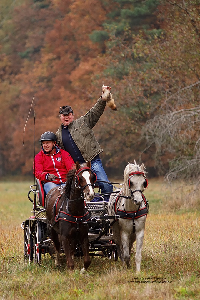 Relacjonowanie imprez jeździeckich (Stajnia Trzy Konie- Hubertus 2019)
