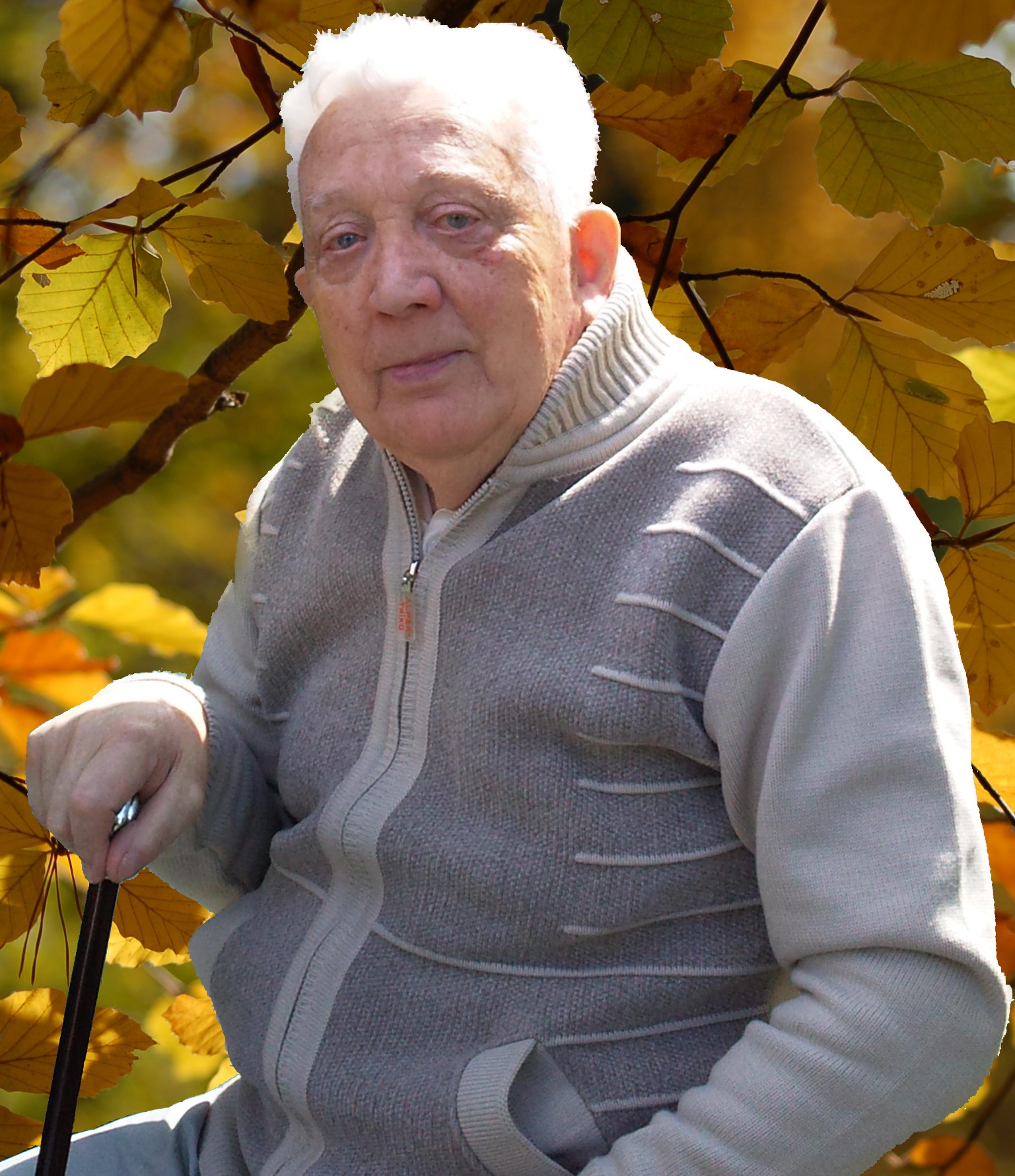 Starszy mężczyzna z siwymi włosami, opierający się o laskę na tle jesiennych liści.