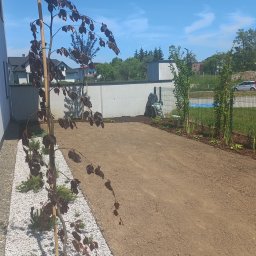 Strona zieleni - Nowo założony ogród z drzewkiem o purpurowych liściach, białym żwirem i świeżo przygotowaną glebą, gotowy do dalszych nasadzeń. Widok na ogrodzenie i błękitne niebo.