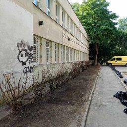 Tech Serwis Dom i Ogród - Przyciąga żywopłotu.