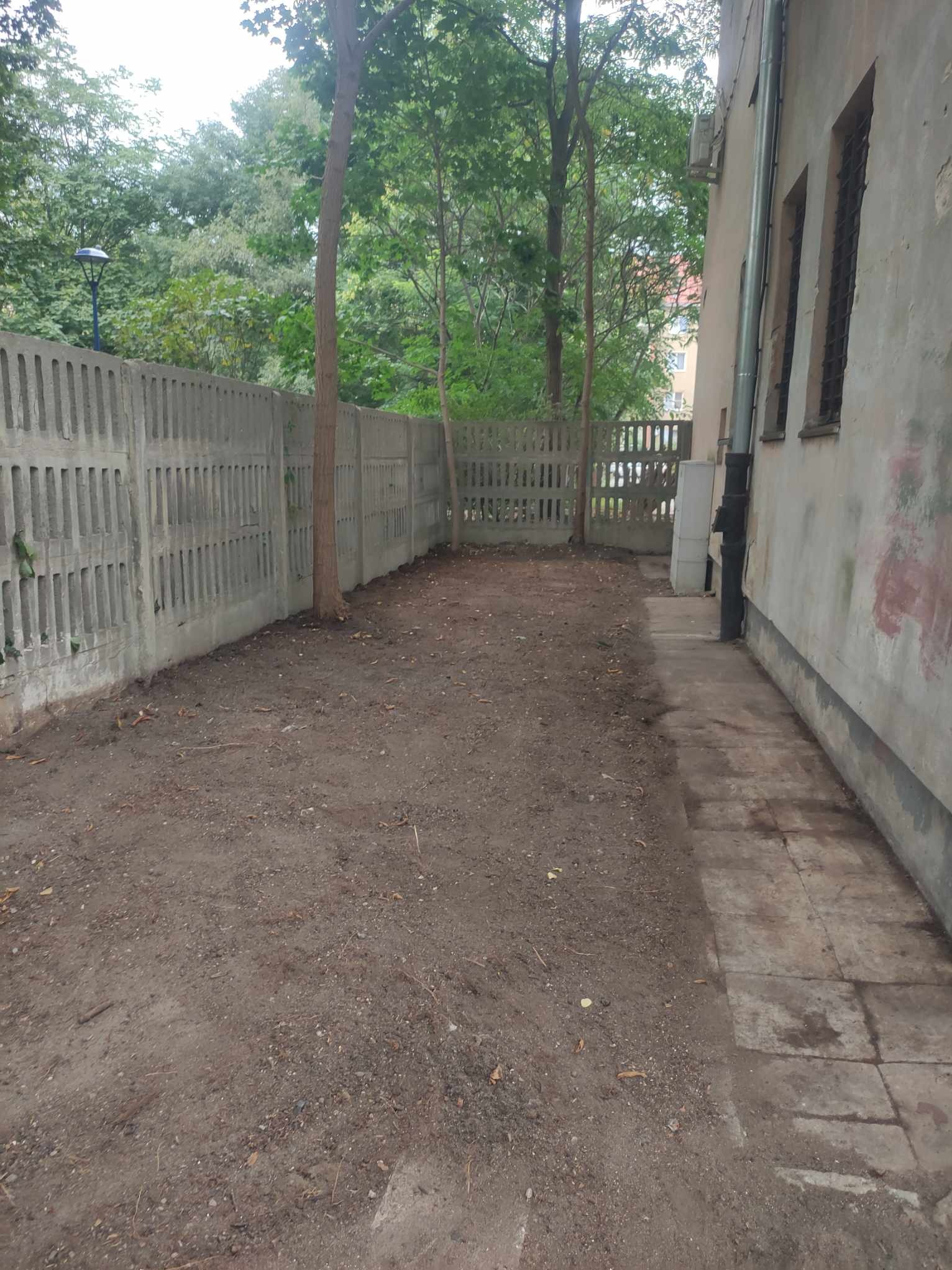 Usługa porządkowa terenu zewnętrznego.