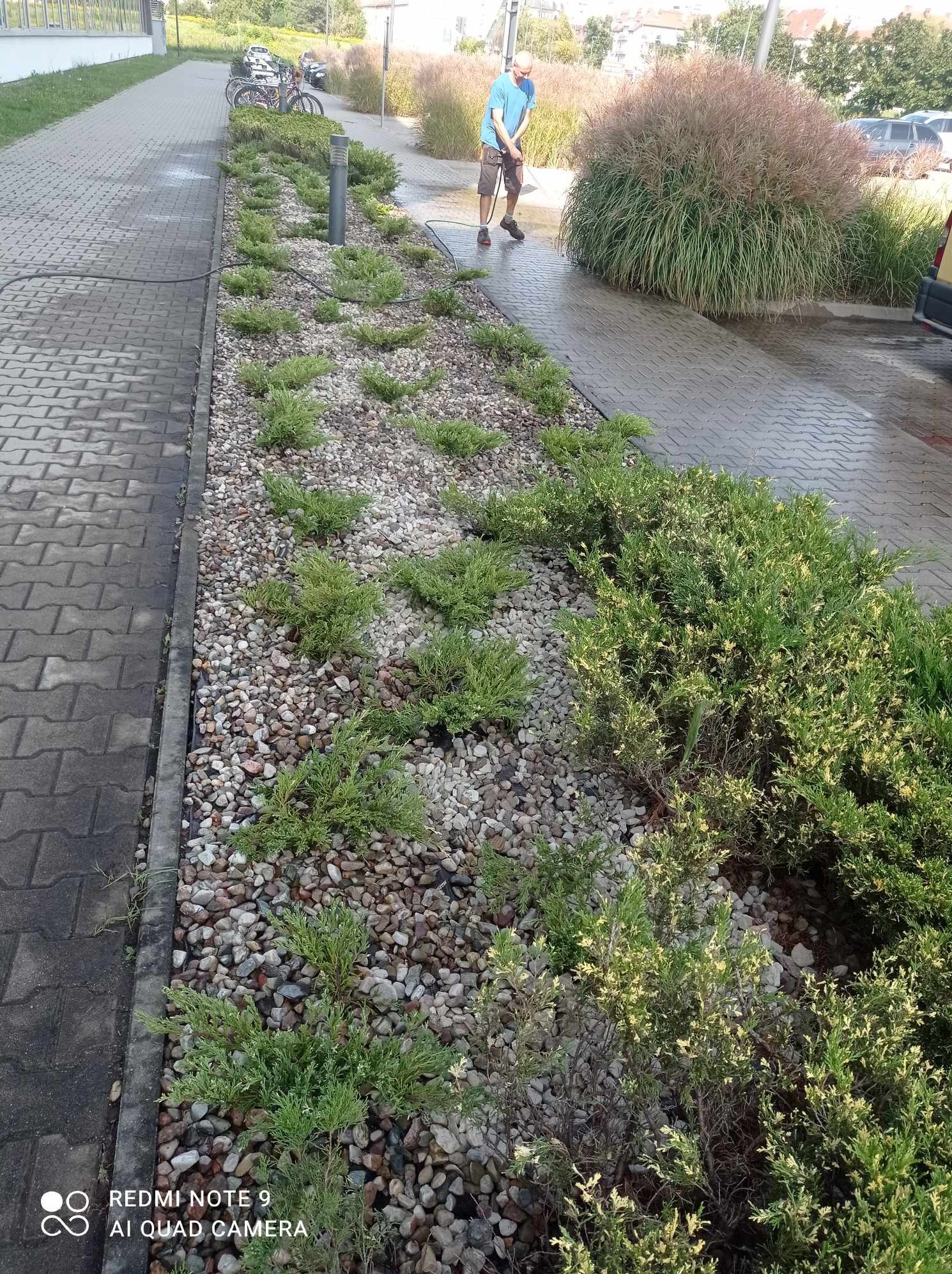 Odbudowa zniszczonej roślinności na terenie zewnętrznym.