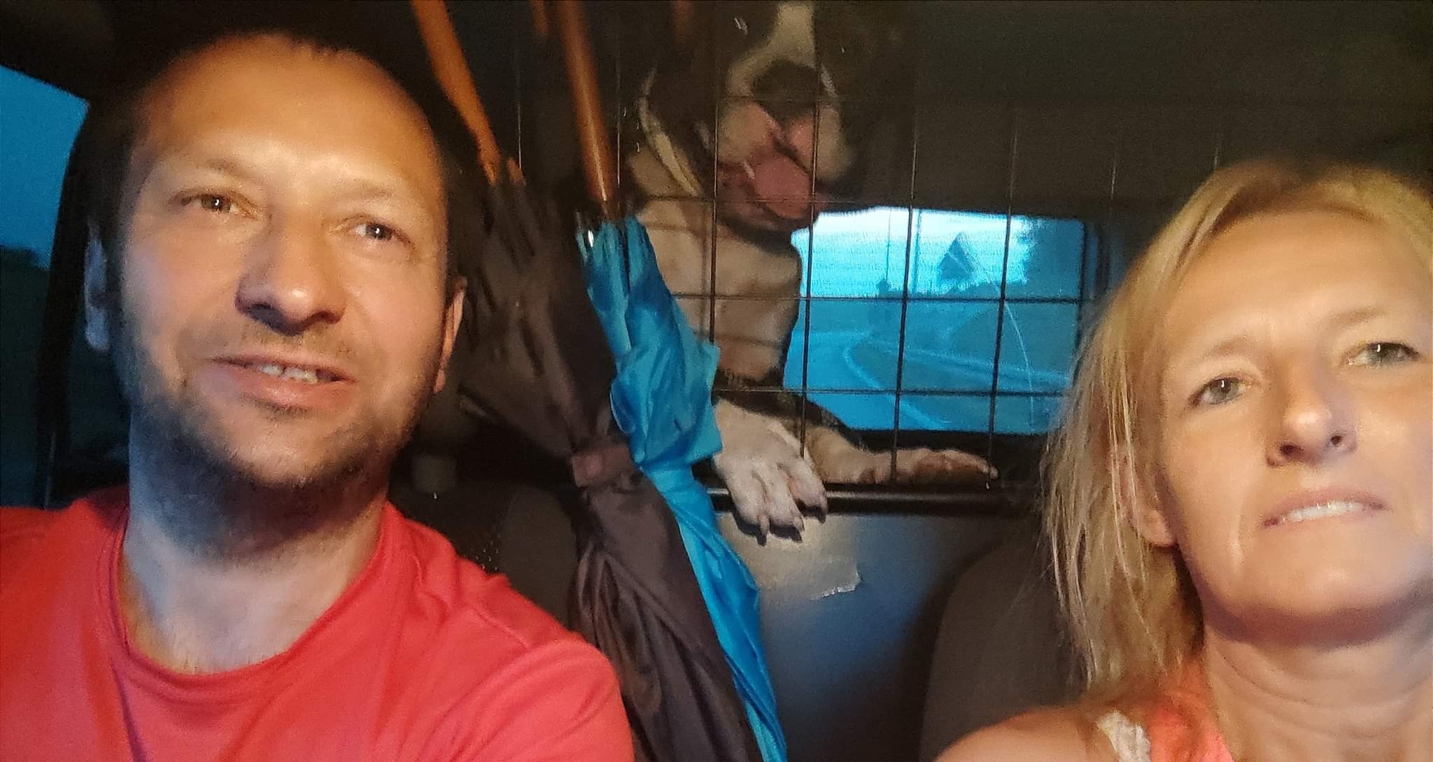 Selfie pary w samochodzie podczas przewozu psa w klatce, widok na drogę przez okno.