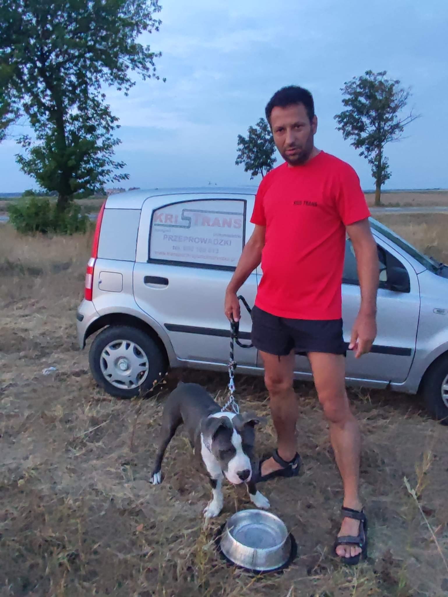 Mężczyzna w czerwonej koszulce i czarnych spodenkach stoi na polu z psem rasy pitbull na smyczy obok srebrnego samochodu z napisem 'KRI TRANS Przeprowadzki' na boku, z miską dla psa na ziemi.