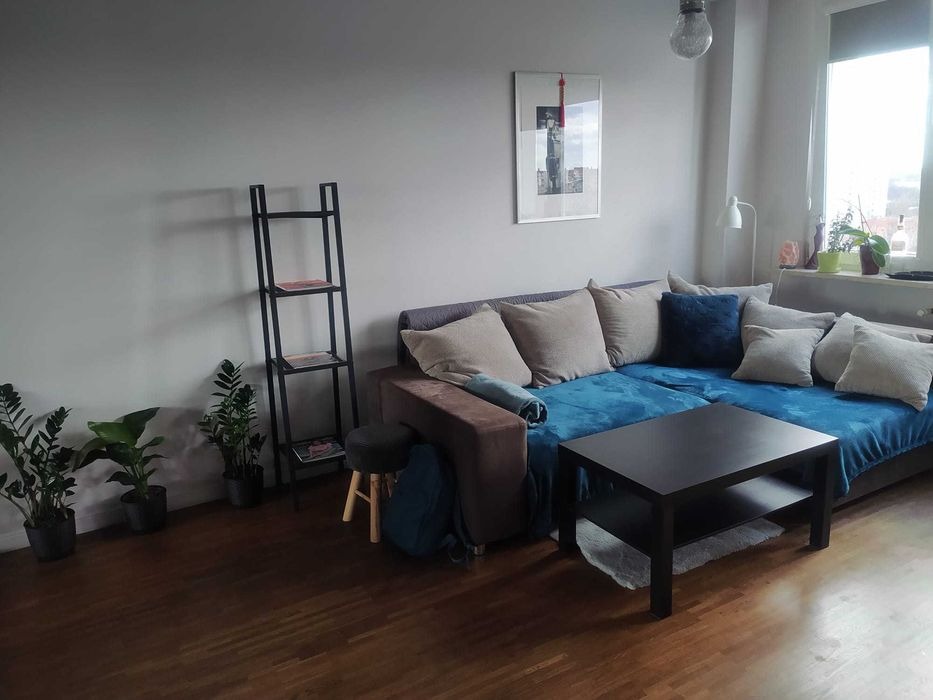 Remont pokoju. Odnowienie parkietu z olejowaniem, naprawa ścian Ii malowanie