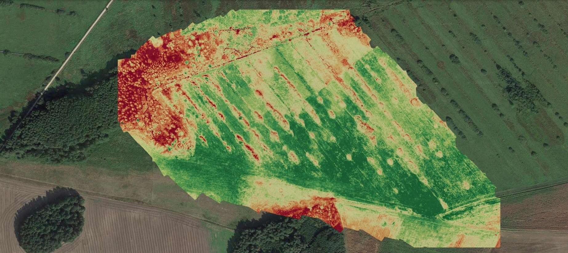 Zdjęcie z drona przedstawiające mapę wegetacji pola uprawnego z zaznaczonymi strefami o różnej kondycji roślinności w kolorach od czerwonego (słaba) do zielonego (dobra).