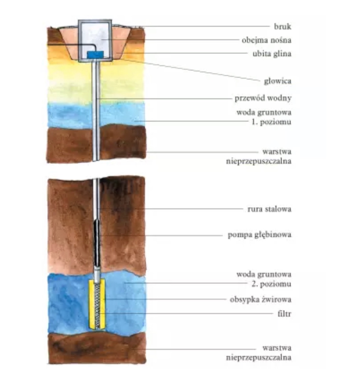 Schemat przekroju pionowego studni głębinowej w Koninie, ilustrujący warstwy gruntu, pompę głębinową, rurę stalową, filtr i poziomy wody gruntowej.
