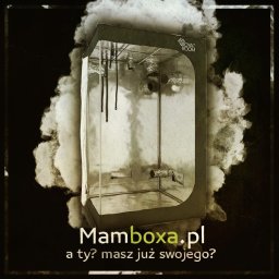 Mamboxa.pl - Torf Warszawa