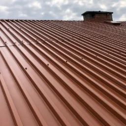 Nowy, brązowy dach z blachy trapezowej, widok z dołu, widoczne kominy i pochmurne niebo.