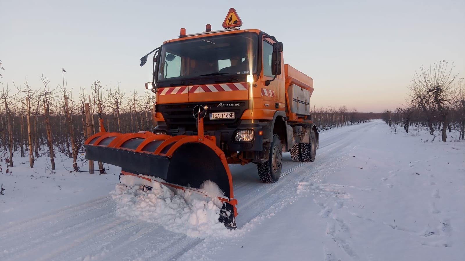 Pomarańczowy pług śnieżny marki Mercedes Actros usuwa śnieg z drogi między sadami w zimowy poranek.