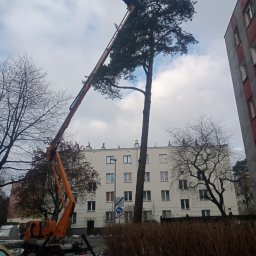 Eco-Drzew Adam Kłosiński - Najwyższej Klasy Ścinanie Drzew w Pułtusku