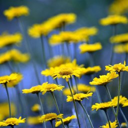 Fotograf eventowy Świerczyna 2