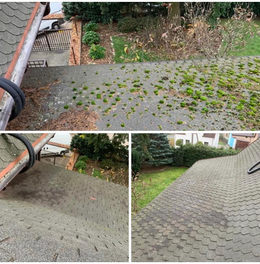 Porównanie stanu dachu przed i po usunięciu mchu, widoczne różnice w czystości i kolorze dachówki, otoczenie z zielenią i budynkami w tle.