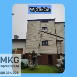 Mycie elewacji z mchów i porostów