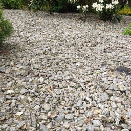 Usługi Sprzątające MKG - Kora kamienna wysypana pod kwitnącymi krzewami różaneczników. Dekoracyjne kamienie w odcieniach szarości i bieli, małe zielone rośliny, kompozycja ogrodu.