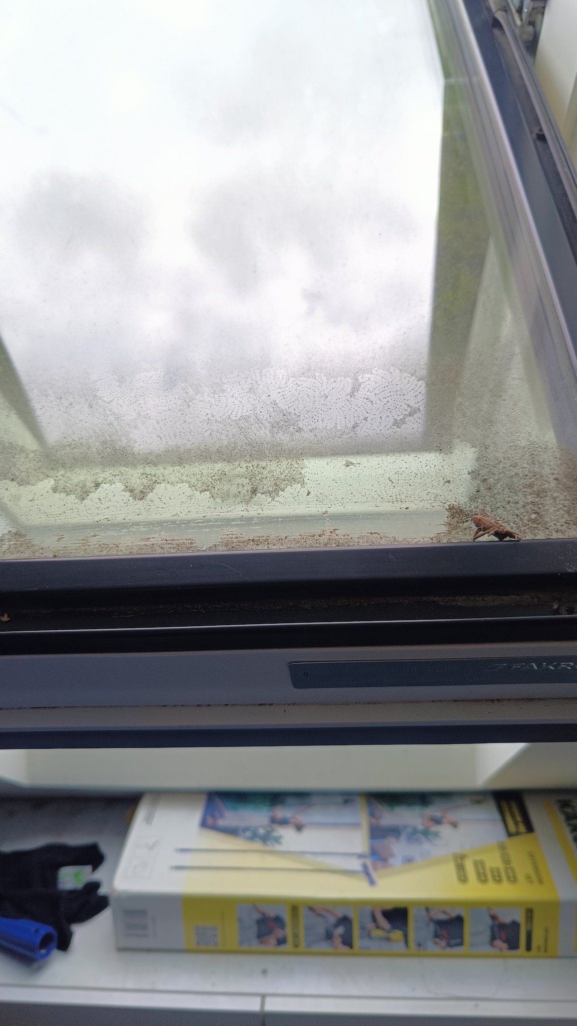 Silnie zabrudzone okno dachowe z owadem na ramie, widok z bliska na brudną szybę i akcesoria do mycia okien w tle, co sugeruje potrzebę profesjonalnego sprzątania.