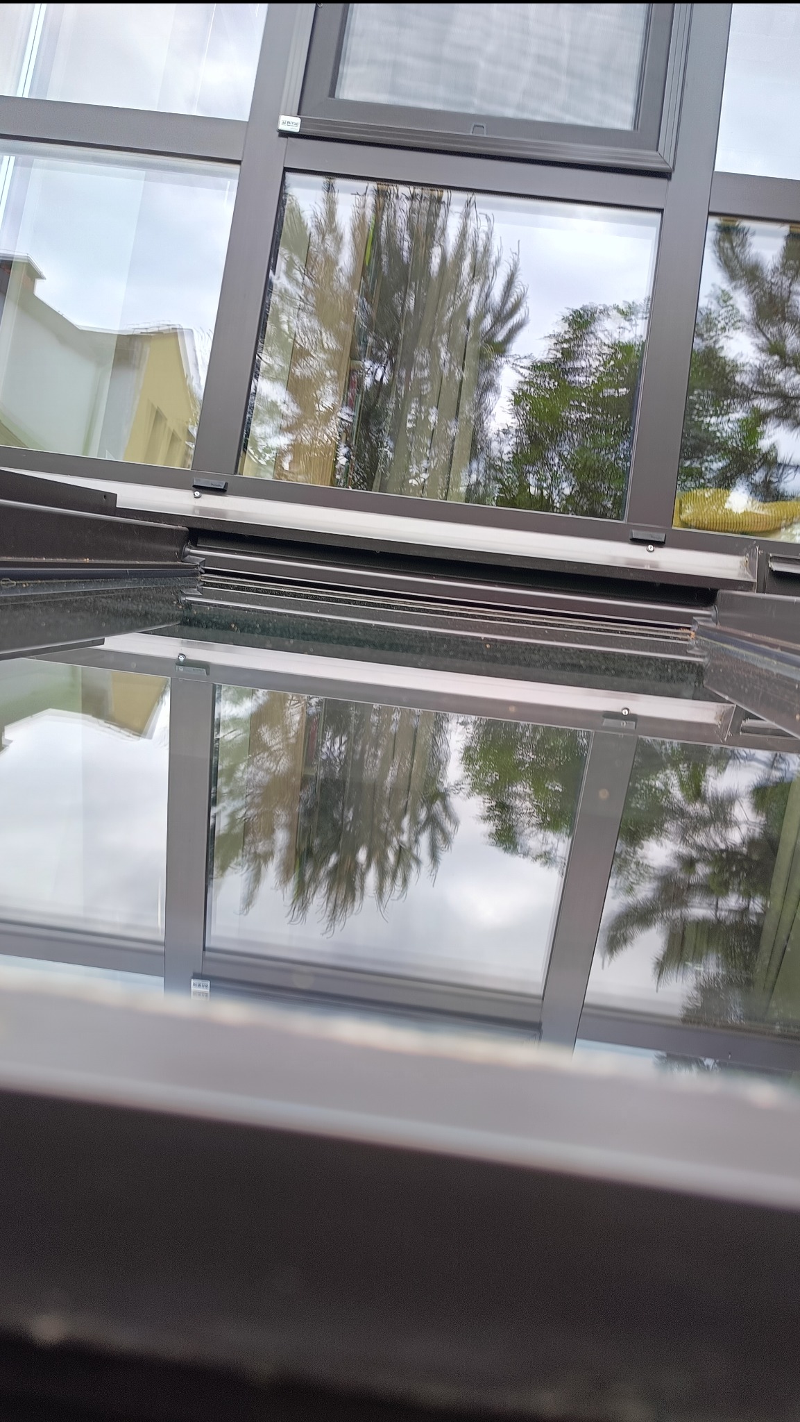 Szklany dach z widocznym odbiciem drzew i nieba. Ciemne ramy okienne, symetryczny podział na prostokąty. Widok z dołu, perspektywa podkreśla geometrię konstrukcji.