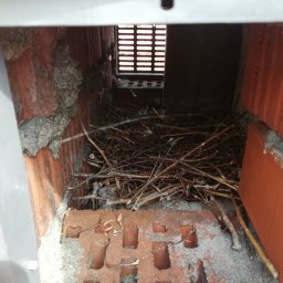 Zanim będziesz miał/a gniazda w kominie zabezpiecz otwory kominowe powyżej dachu LEPIEJ ZAPOBIEGAĆ NIŻ LECZYĆ 