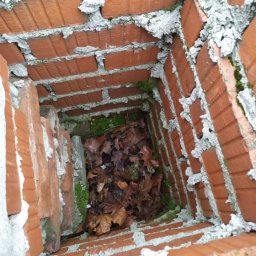 Usługi kominiarsko-gazownicze Paweł Danielik - Usuwania gniazd ptactwa