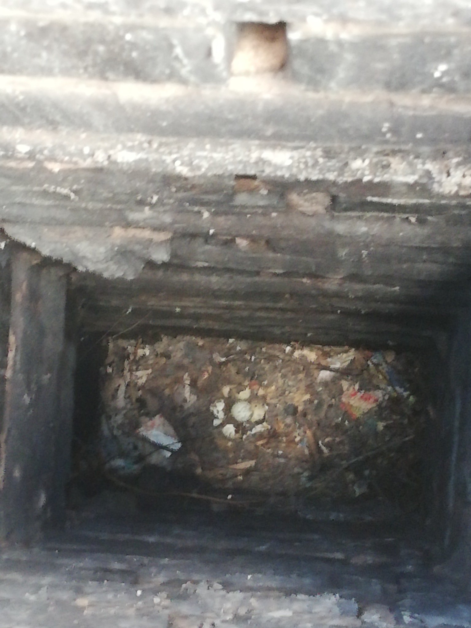 To Nie Takie Gniazdo Jak na Drzewie