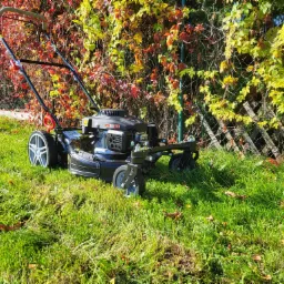 Kosiarka spalinowa na trawniku, jesienne liście na trawie, tło stanowi płot porośnięty kolorowymi pnączami.