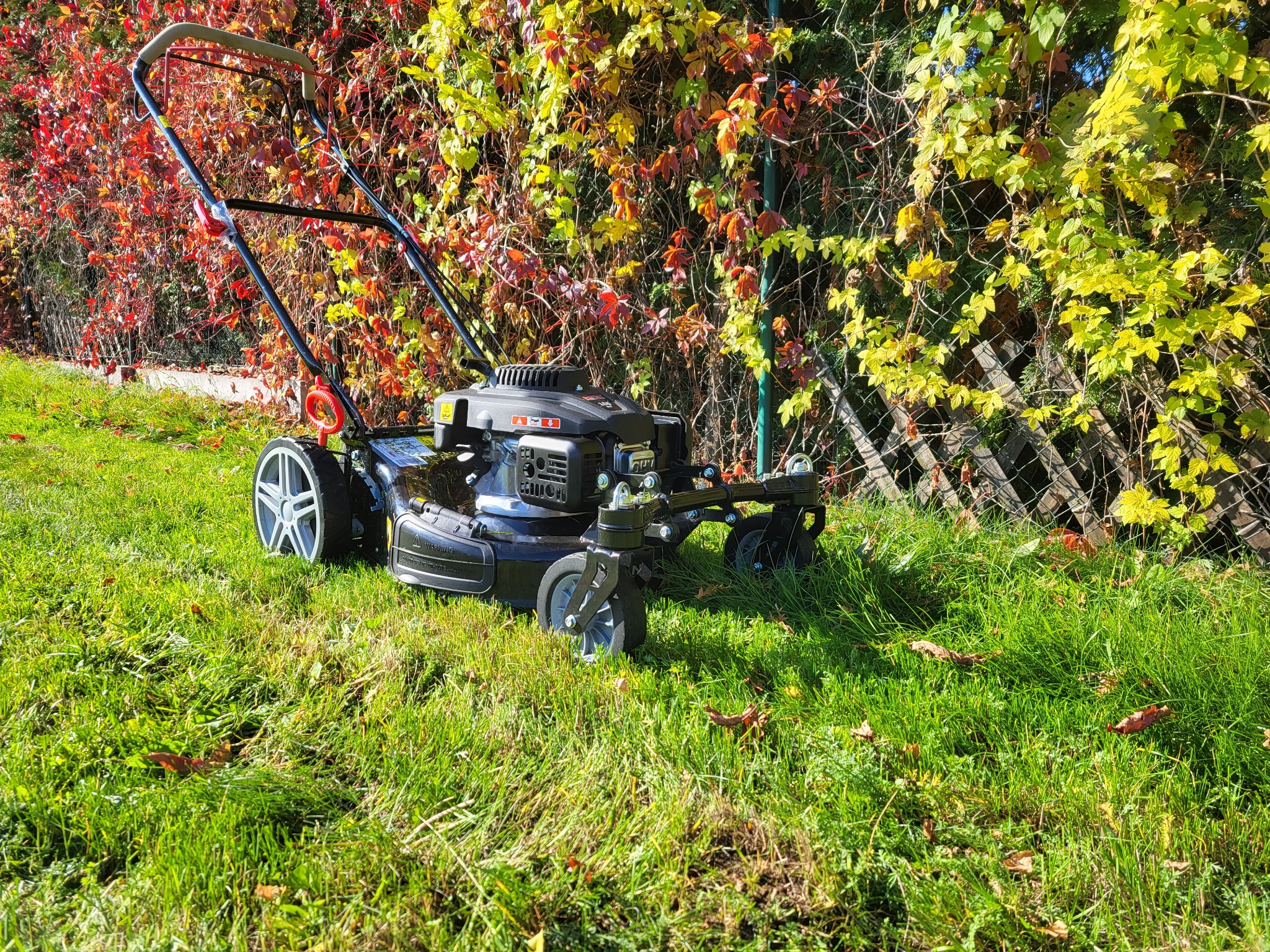 Kosiarka spalinowa na trawniku, jesienne liście na trawie, tło stanowi płot porośnięty kolorowymi pnączami.